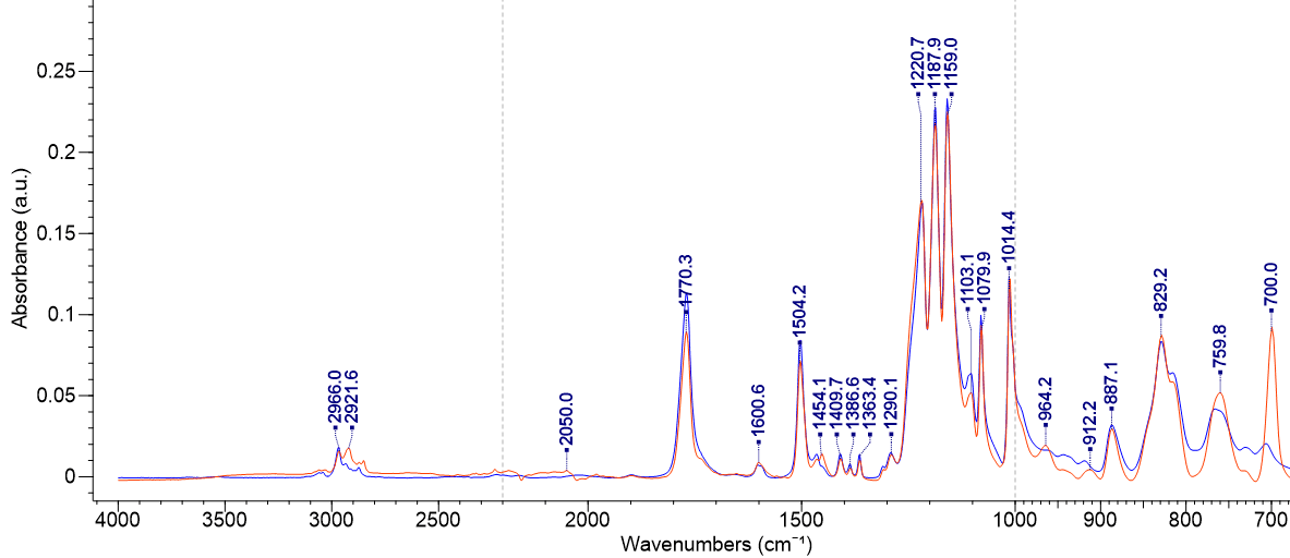 Example Output 1