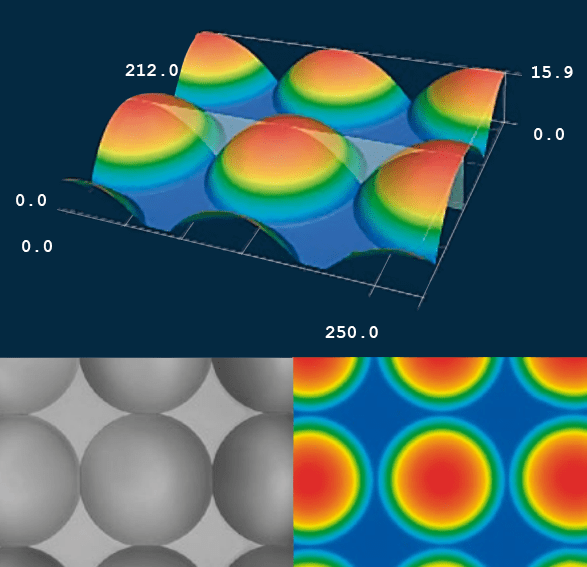 Laser Scanning Confocal Microscopy