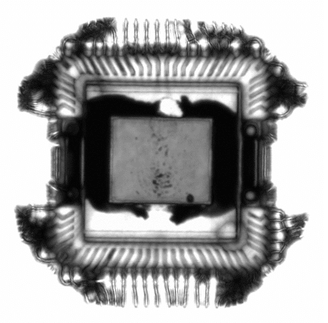 Scanning Acoustic Microscopy Main Image