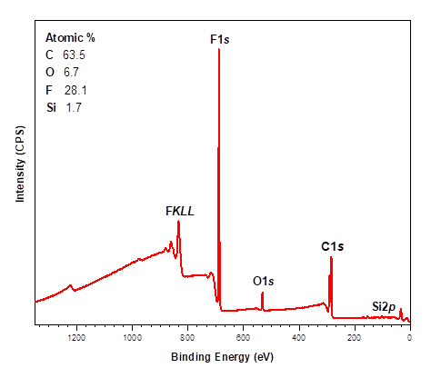 Example Output 1