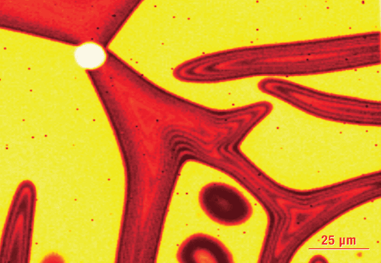 Raman Microscopy