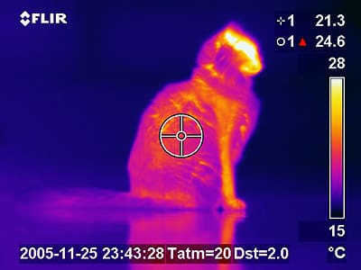 Infrared Thermography