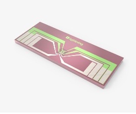   DENSsolutions Heating chip (Nano-Chip)