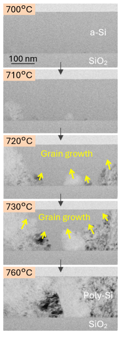 In-situ heating Transmission Electron Microscopy