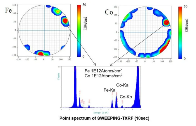 Total Reflection X-ray Fluorescence