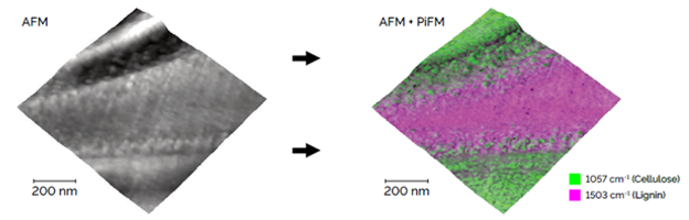 Photo-induced Force Microscopy