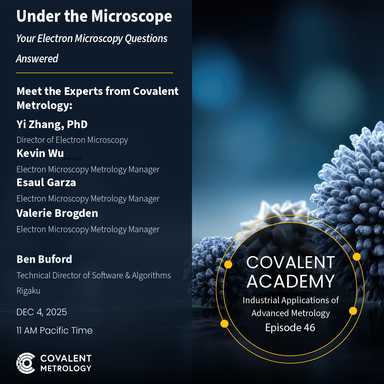 Under the Microscope: Your Electron Microscopy Questions Answered